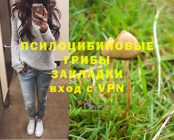 гидропоника Няндома