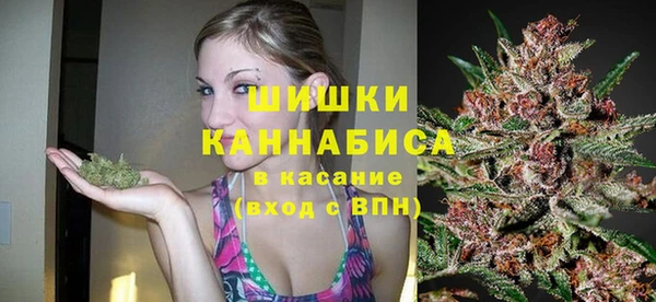 гидропоника Няндома