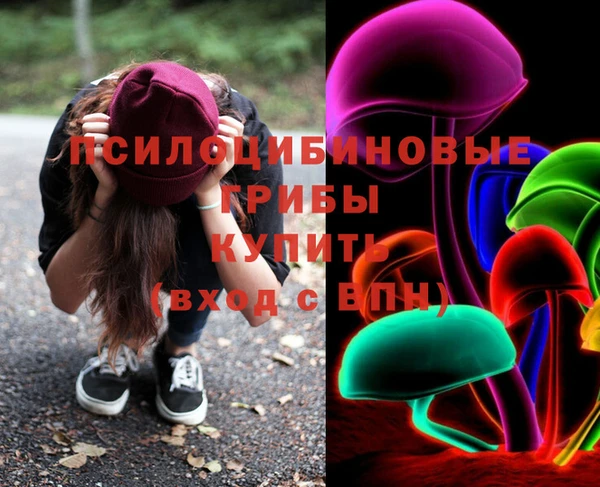 гидропоника Няндома